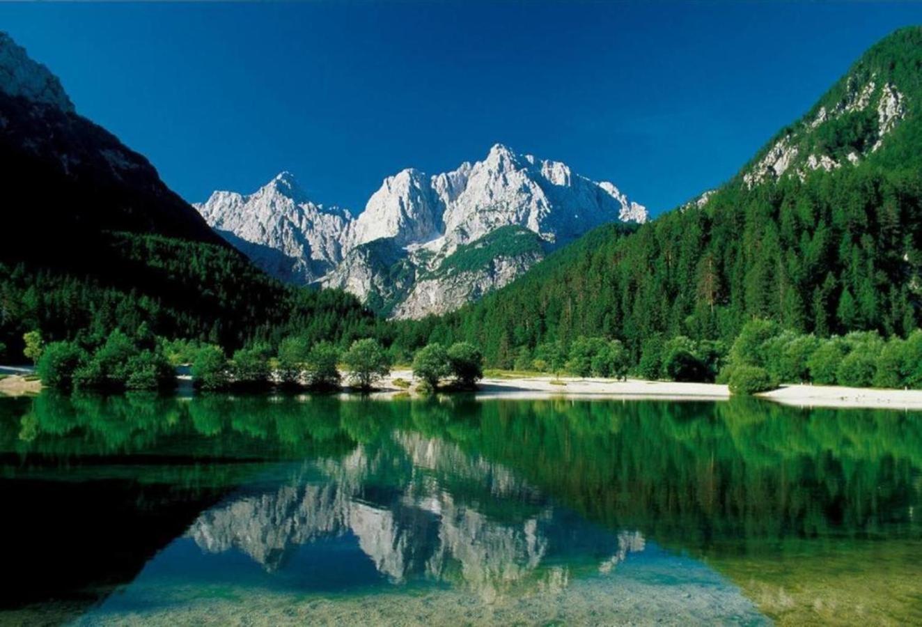 Apartmaji "La Vie Est Belle" Kranjska Gora Zewnętrze zdjęcie